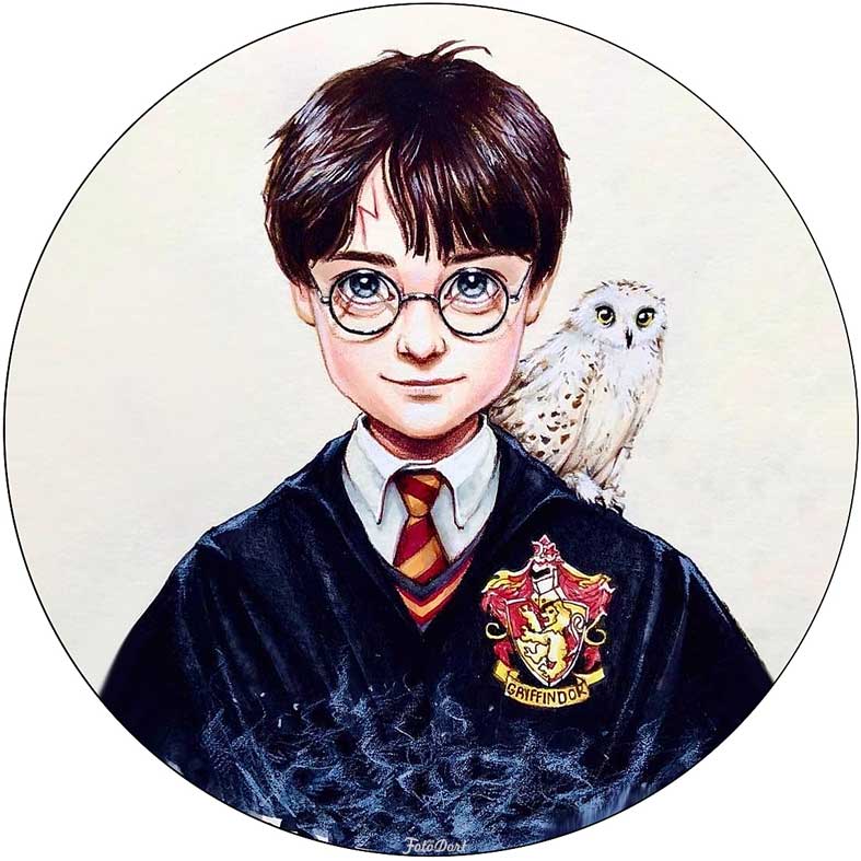 Harry Potter - 394