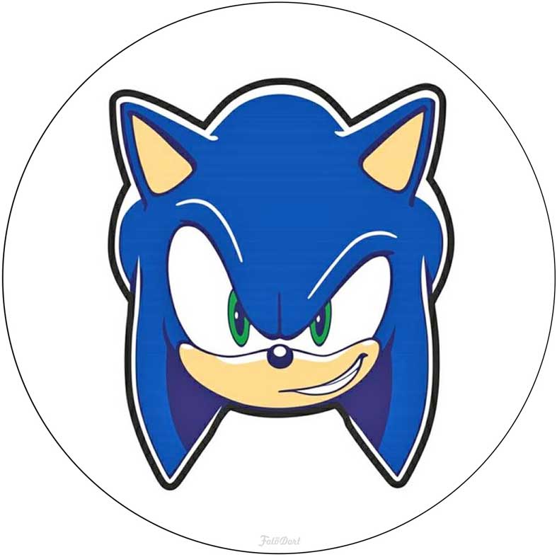 Ježek Sonic 130