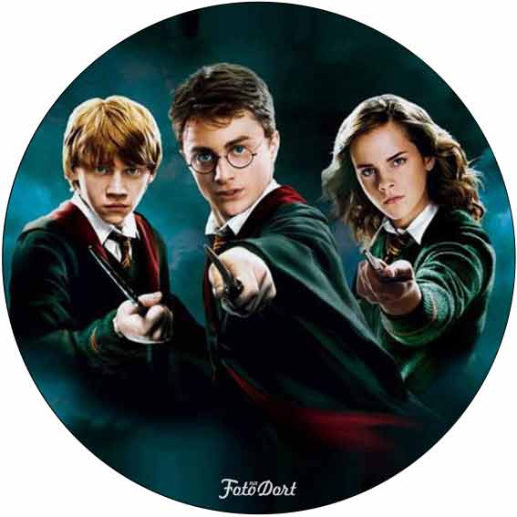 Harry Potter 295