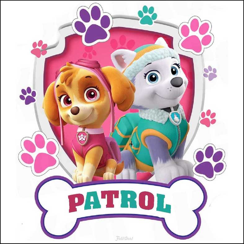 PAW Patrol 9540