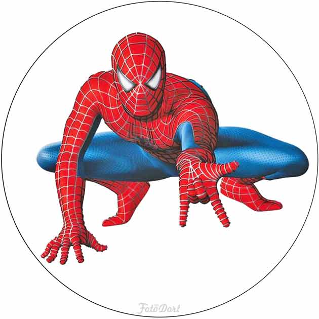 Spiderman 255
