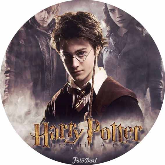 Harry Potter 330