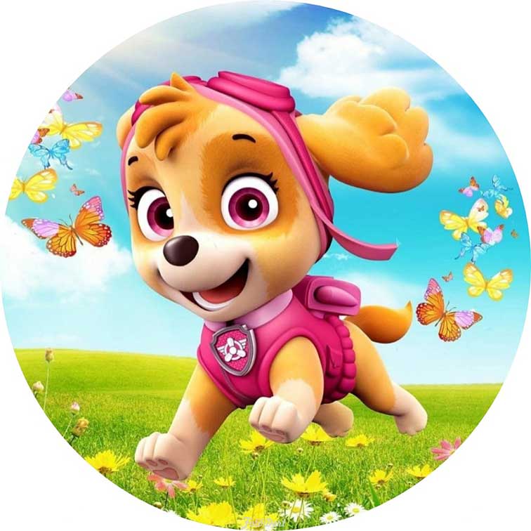 PAW Patrol 497