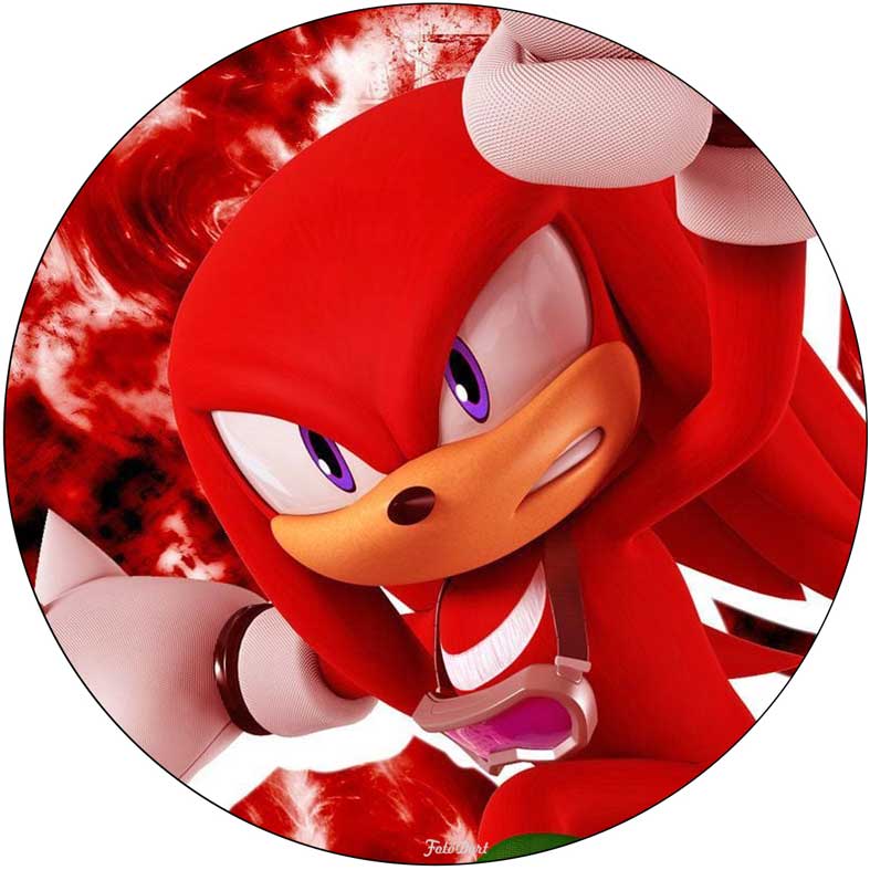Ježek Sonic 100