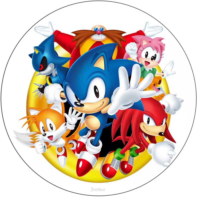 Ježek Sonic 140