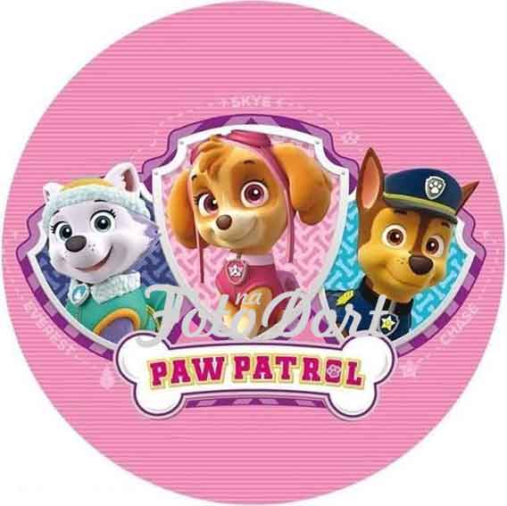PAW Patrol 07