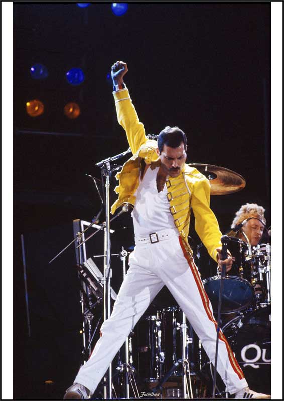 Freddie Mercury 10