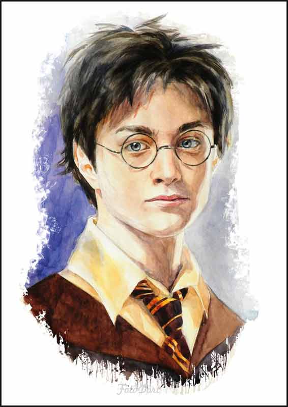 Harry Potter 660