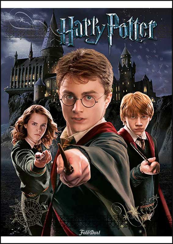 Harry Potter - 730