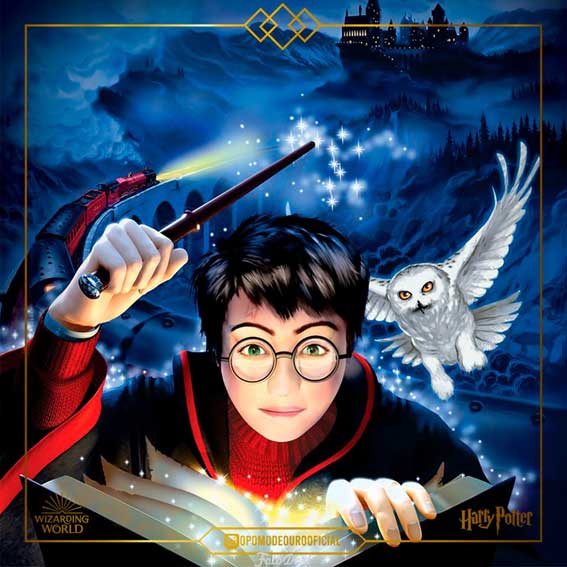 Harry Potter - 910