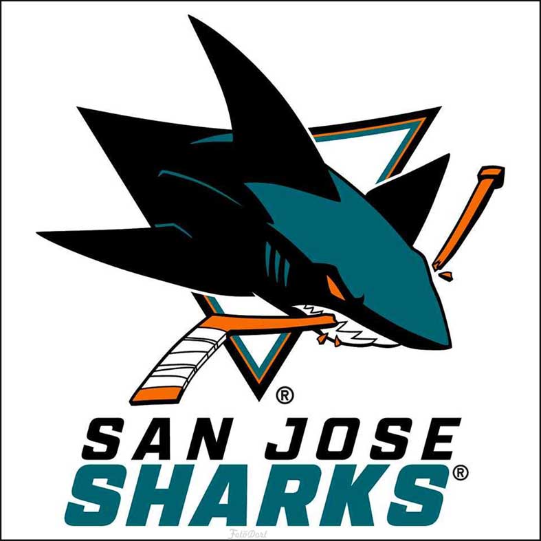 San Jose Sharks 910