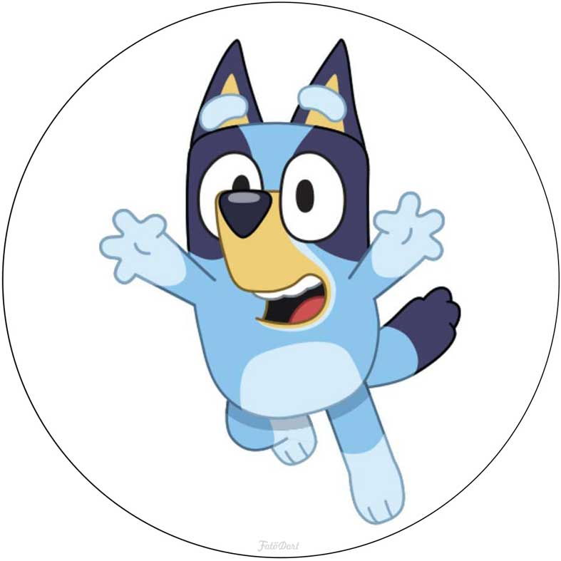 Bluey 50