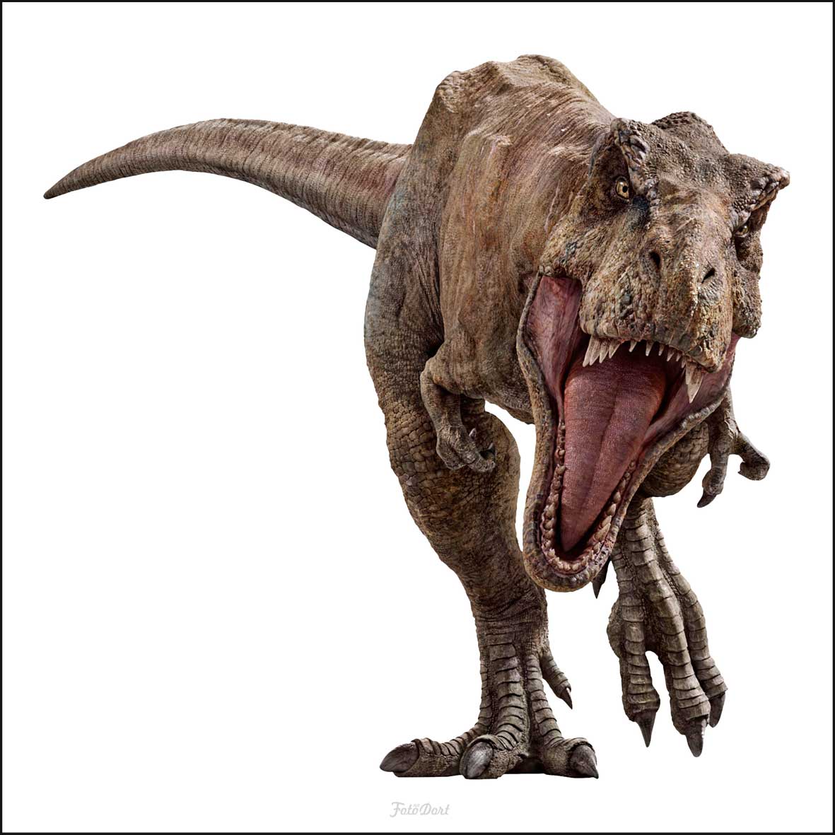 Dinosaurus 810