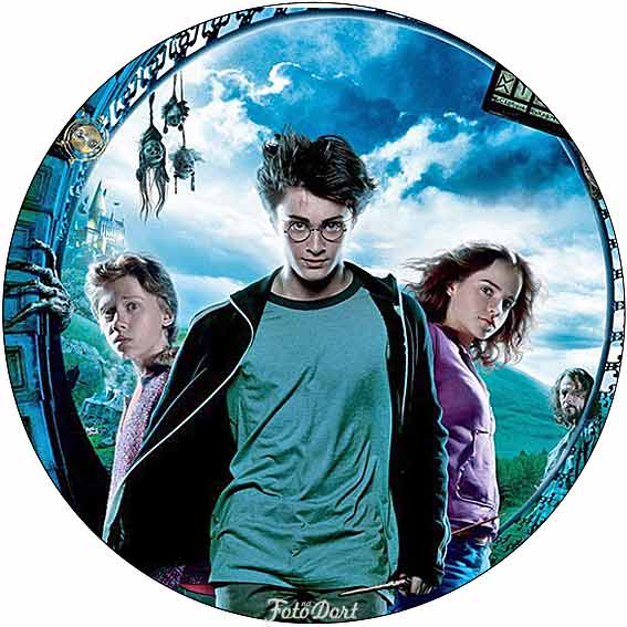 Harry Potter 307