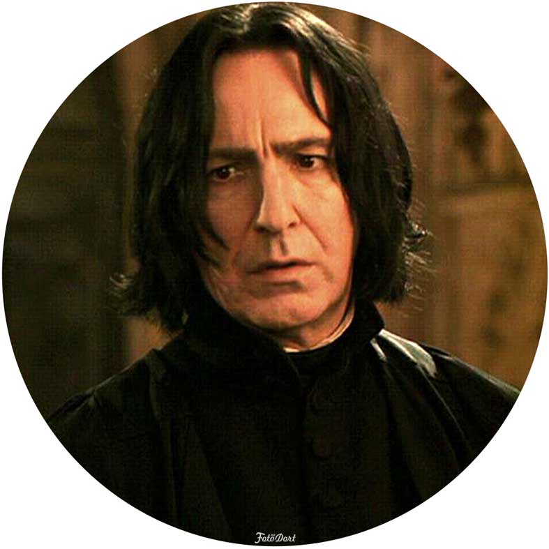 Harry Potter (profesor Snape) 392