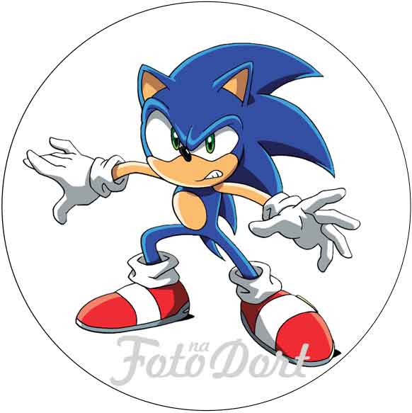 Ježek Sonic 20