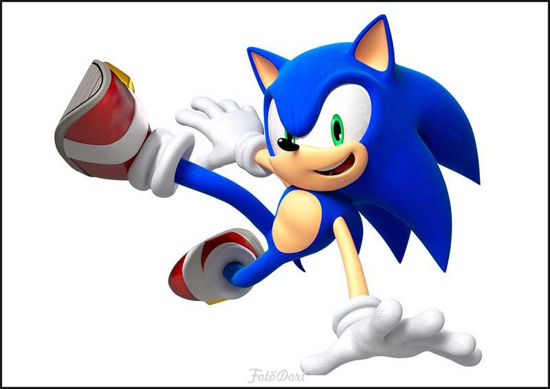 Ježek Sonic 710