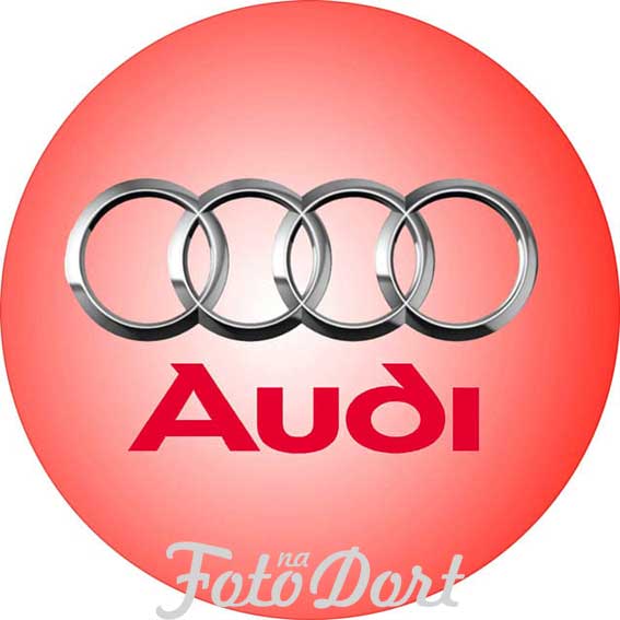 Logo Audi 10