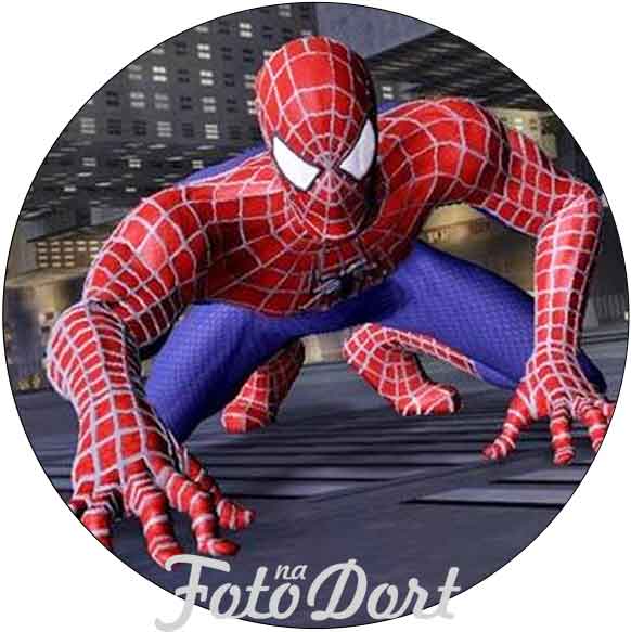Spiderman 220